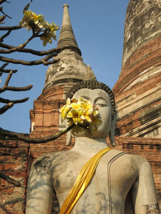 Ayutthaya - Wat Yai Chai Mongkon