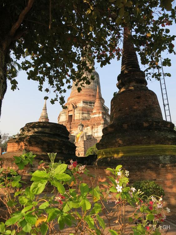 Ayutthaya - Wat Yai Chai Mongkon