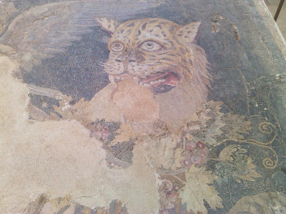 Delos - Mosaik im Haus des Dionysos