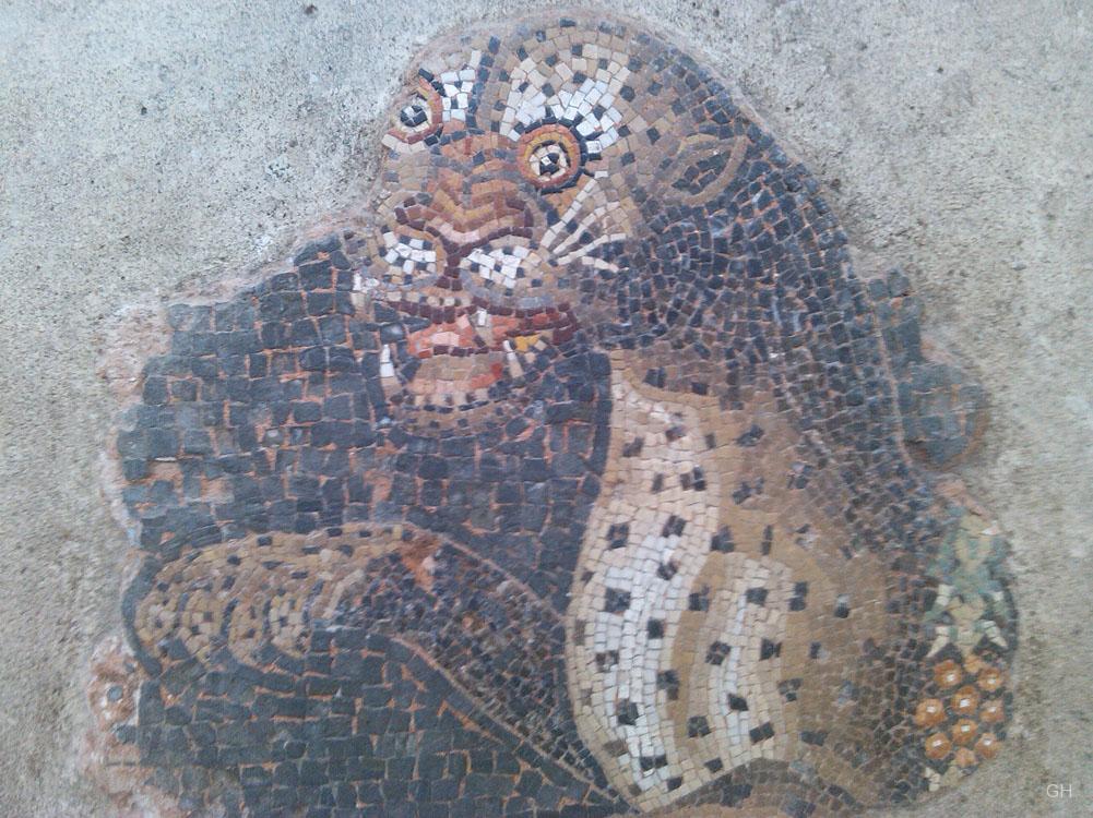 Delos - Mosaik im Haus der Masken